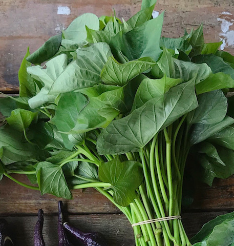 Sweet Potato Greens