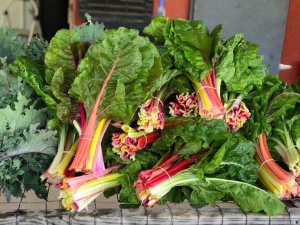 Swiss Chard