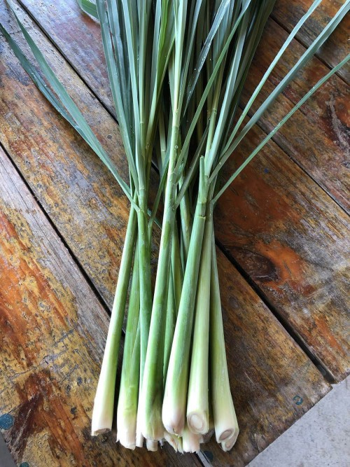 Lemongrass