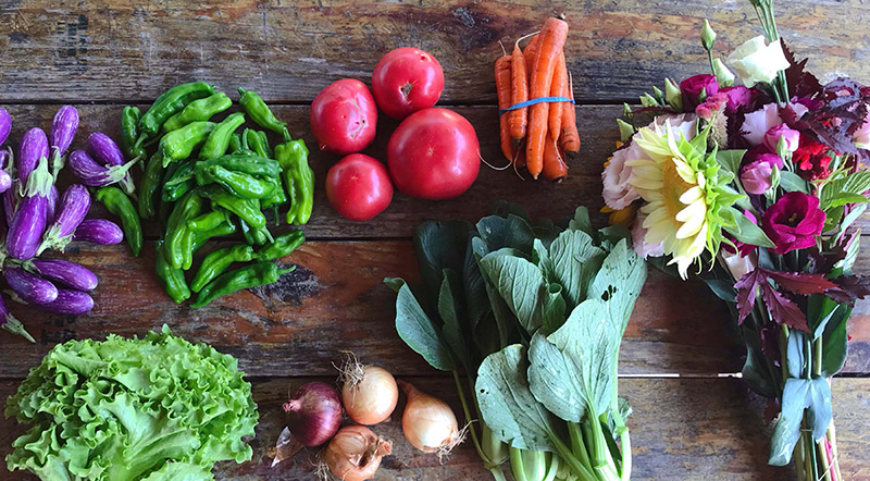 food_access_tn