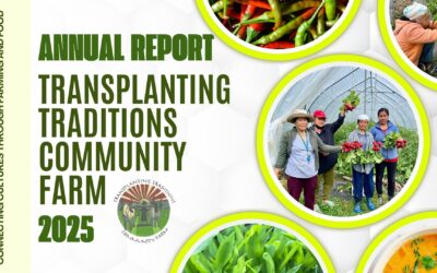 ANNUAL REPORT 2025 Transplanting Traditions Community Farm