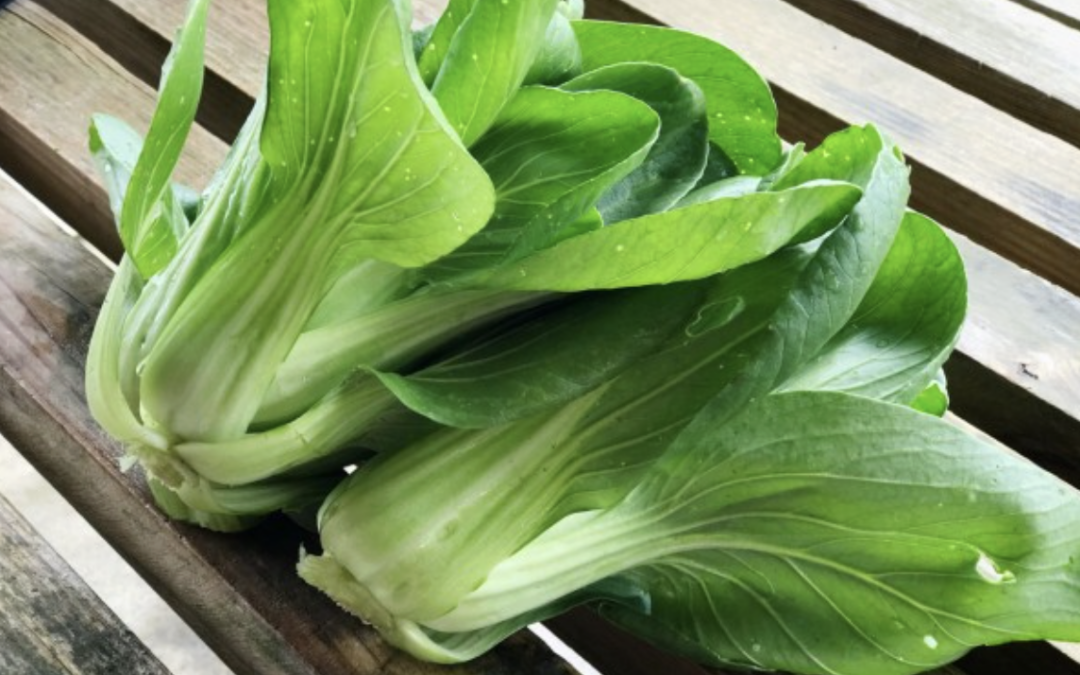 Bok Choy